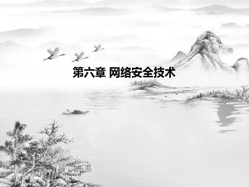 第6章-网络安全技术ppt课件(全)