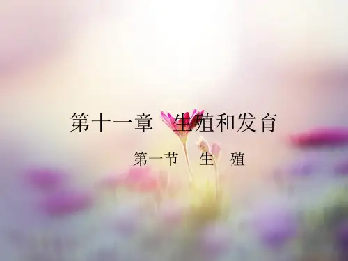生殖和发育PPT精品课件