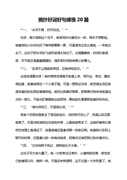 摘抄好词好句感悟20篇