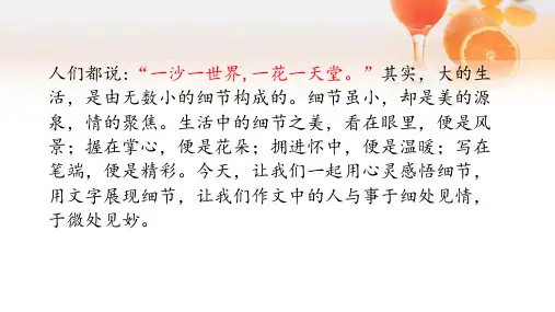 第三单元写作 《抓住细节》课件（共32张PPT）2021-2022学年人教部编版语文七年级下册
