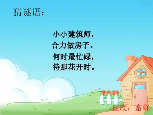 人教版小学三年级语文上册14《蜜蜂》 (1)