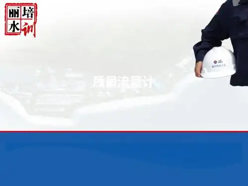 质量流量计