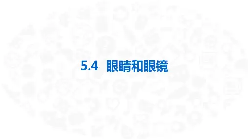 眼睛和眼镜ppt课件
