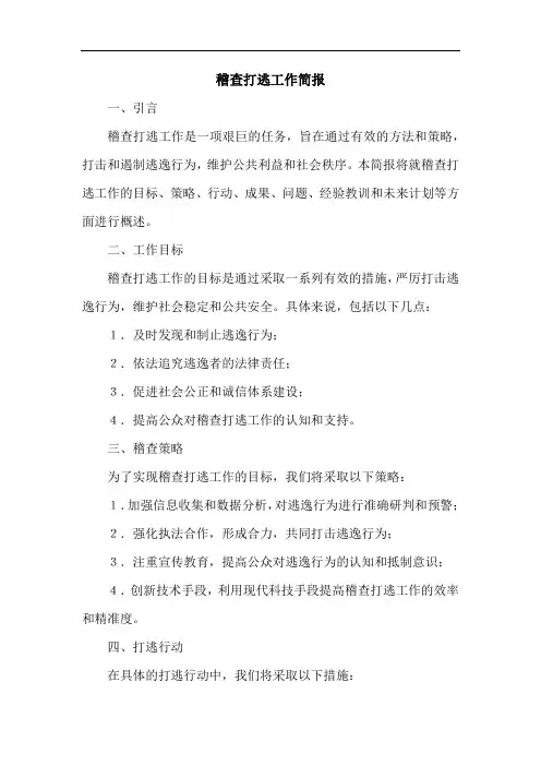 稽查打逃工作简报