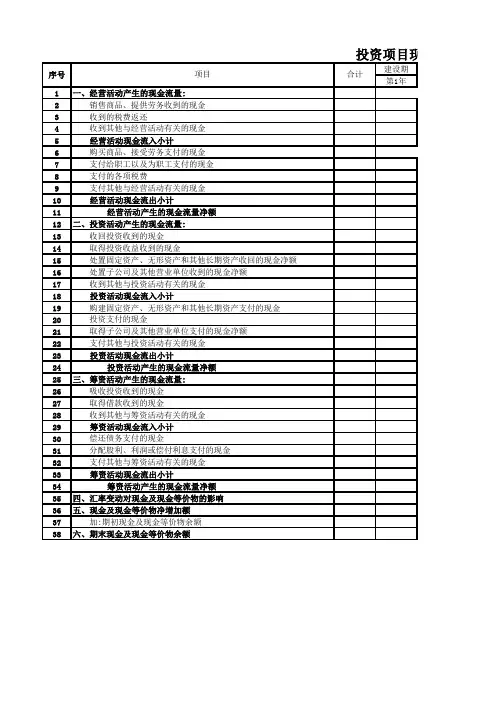 投资项目现金流量表