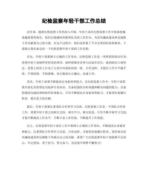 纪检监察年轻干部工作总结