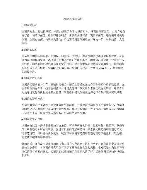 细菌知识点总结