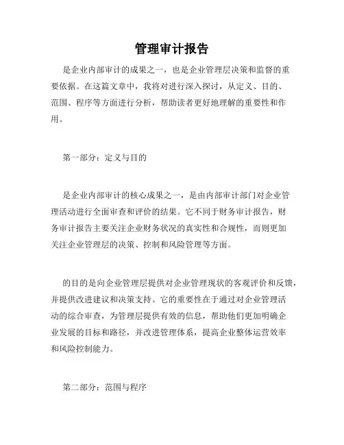 管理审计报告