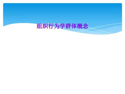 组织行为学群体概念