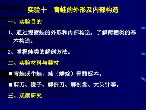 实验10 青蛙的外形及内部构造