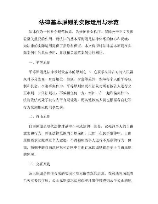 法律基本原则的实际运用与示范