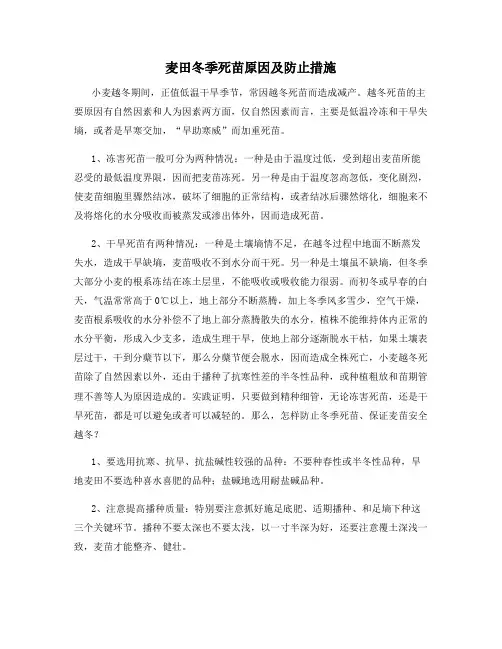 麦田冬季死苗原因及防止措施