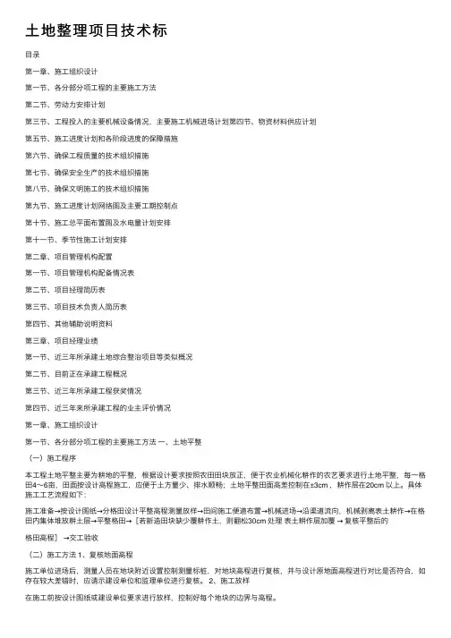 土地整理项目技术标