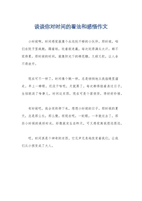 谈谈你对时间的看法和感悟作文