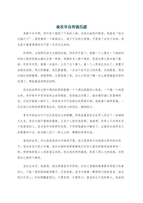 袁农平自传读后感
