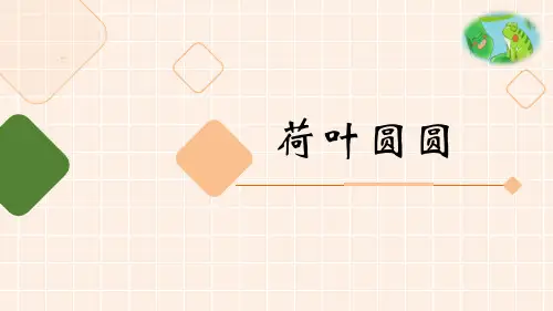 《荷叶圆圆》(ppt)课件