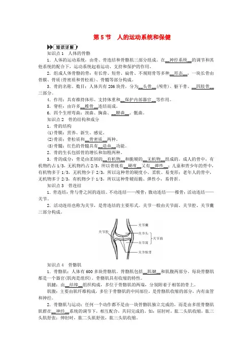 九年级科学下册第3章人的健康3.5人的运动系统和保健提优手册(新版)浙教版