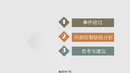 新华制药内部控制失效案例分析