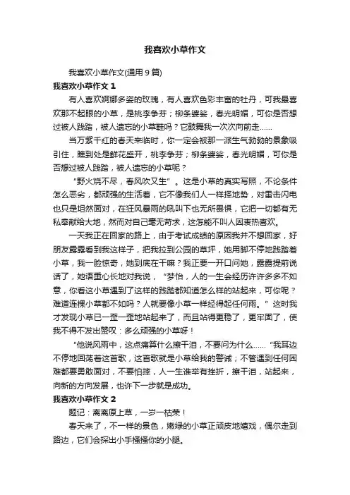 我喜欢小草作文（通用9篇）