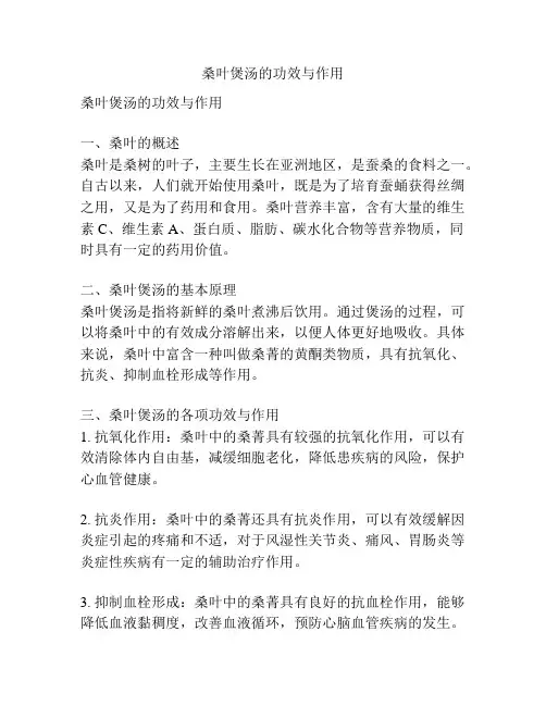桑叶煲汤的功效与作用