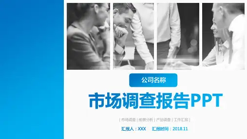 装修建材市场调查PPT 图文