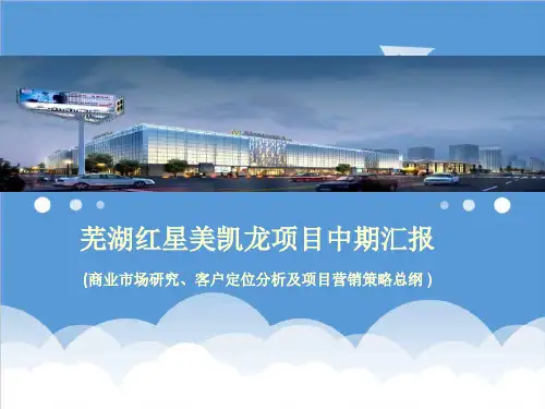 推荐-客户定位分析及项目营销策略项目中期汇报 精品