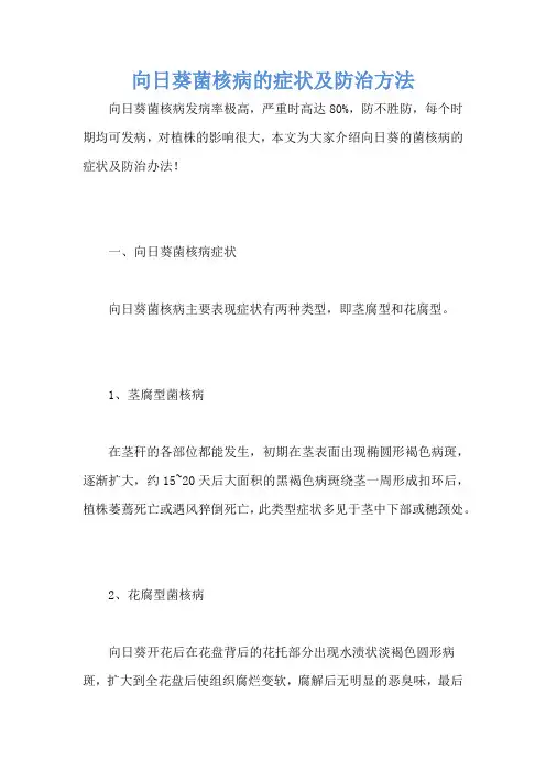 向日葵菌核病的症状及防治方法