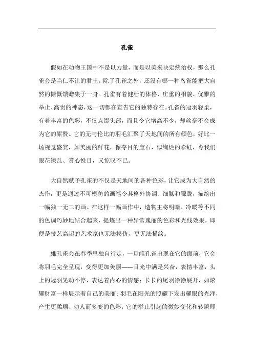 鸟类介绍-孔雀