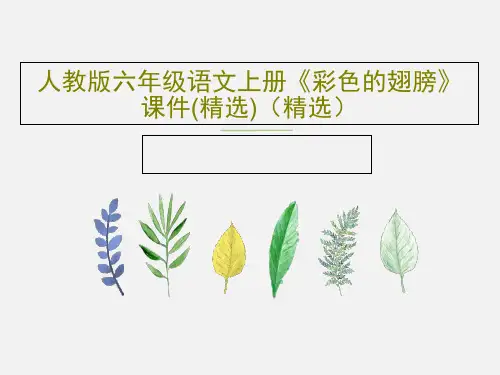 人教版六年级语文上册《彩色的翅膀》课件(精选)(精选)PPT文档16页
