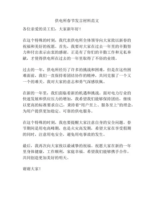 供电所春节发言材料范文