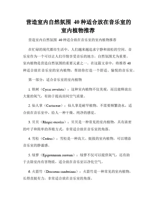  营造室内自然氛围  40种适合放在音乐室的室内植物推荐