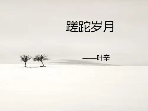 《蹉跎岁月》片段赏析