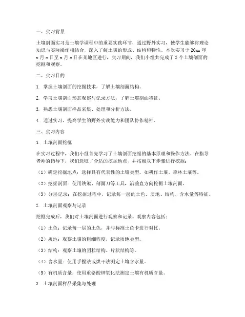 土壤剖面实习报告