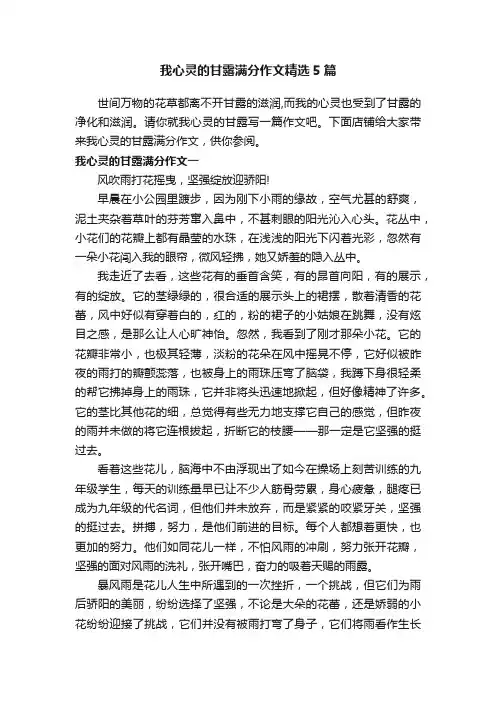 我心灵的甘露满分作文精选5篇