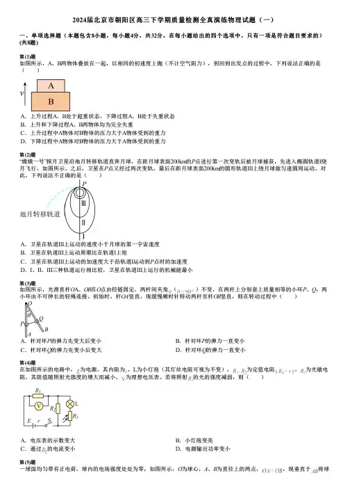 2024届北京市朝阳区高三下学期质量检测全真演练物理试题(一)
