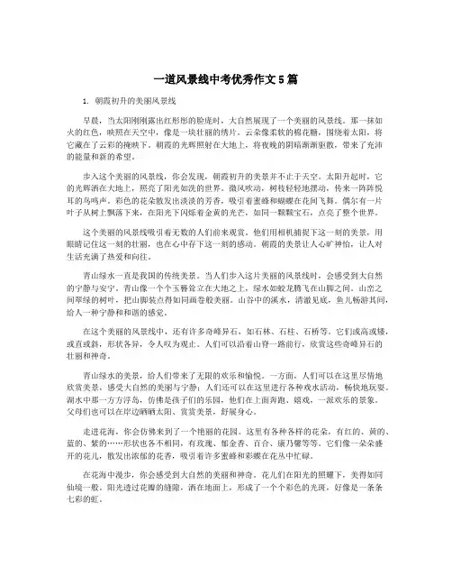 一道风景线中考优秀作文5篇