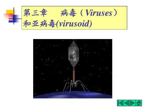 病毒和亚病毒