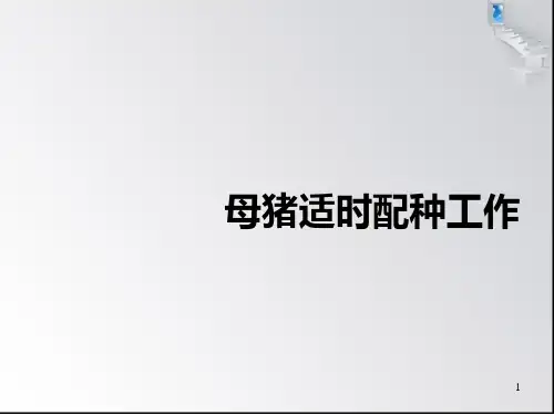 母猪适时配种技术PPT课件