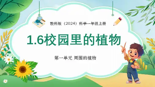 2024年教科版科学一年级上册1.6《校园里的植物》课件