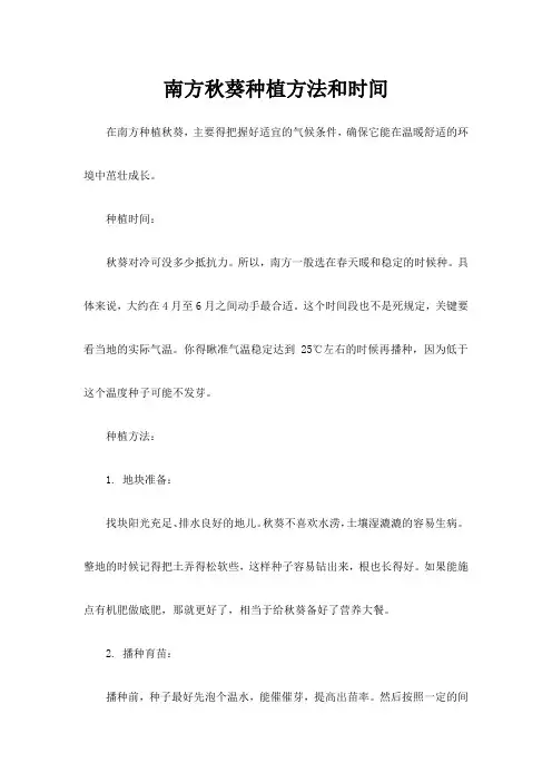 南方秋葵种植方法和时间