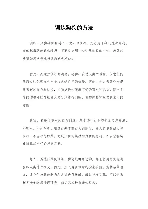 训练狗狗的方法