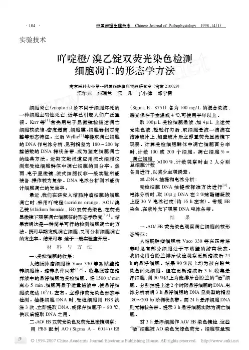1003吖啶橙_溴乙锭双荧光染色检测细胞凋亡的形态学方法