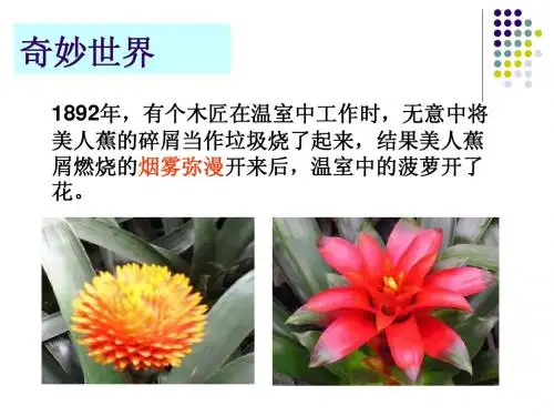 乙烯公开课课件