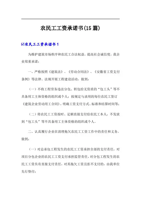 农民工工资承诺书(15篇)