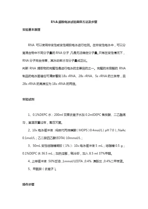 RNA凝胶电泳试验具体方法及步骤