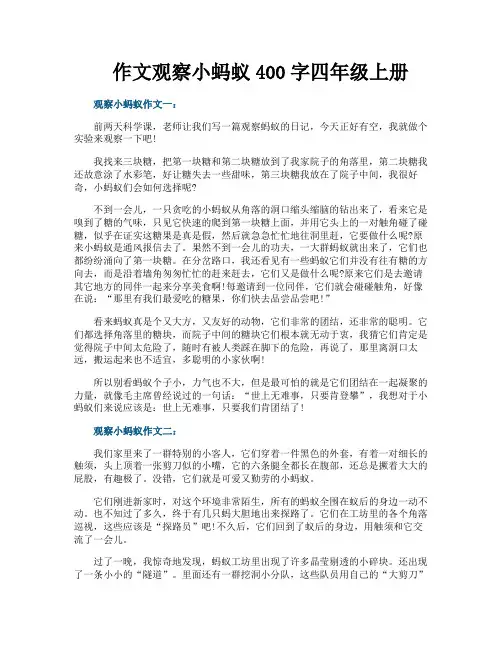 作文观察小蚂蚁400字四年级上册