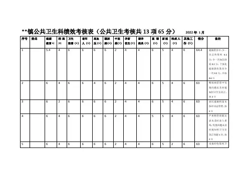 公共卫生科绩效考核表
