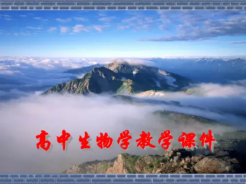 高中生物计算详解