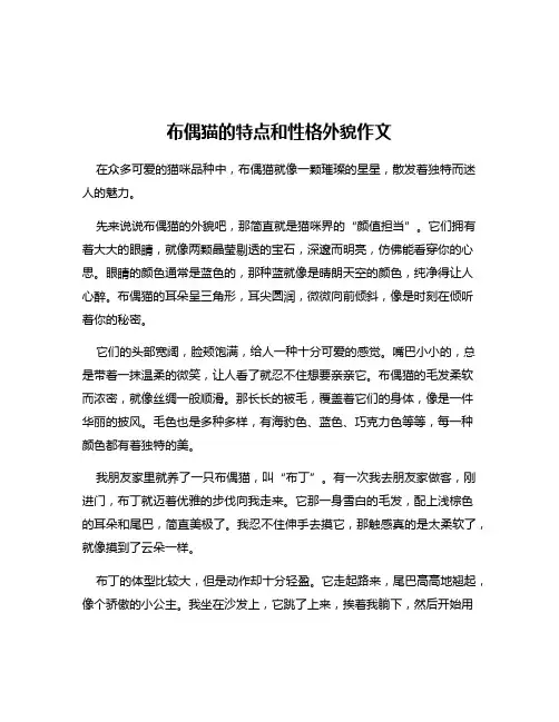 布偶猫的特点和性格外貌作文
