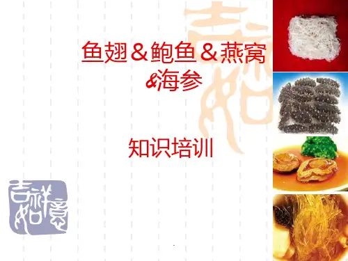 鱼翅鲍鱼知识PPT课件